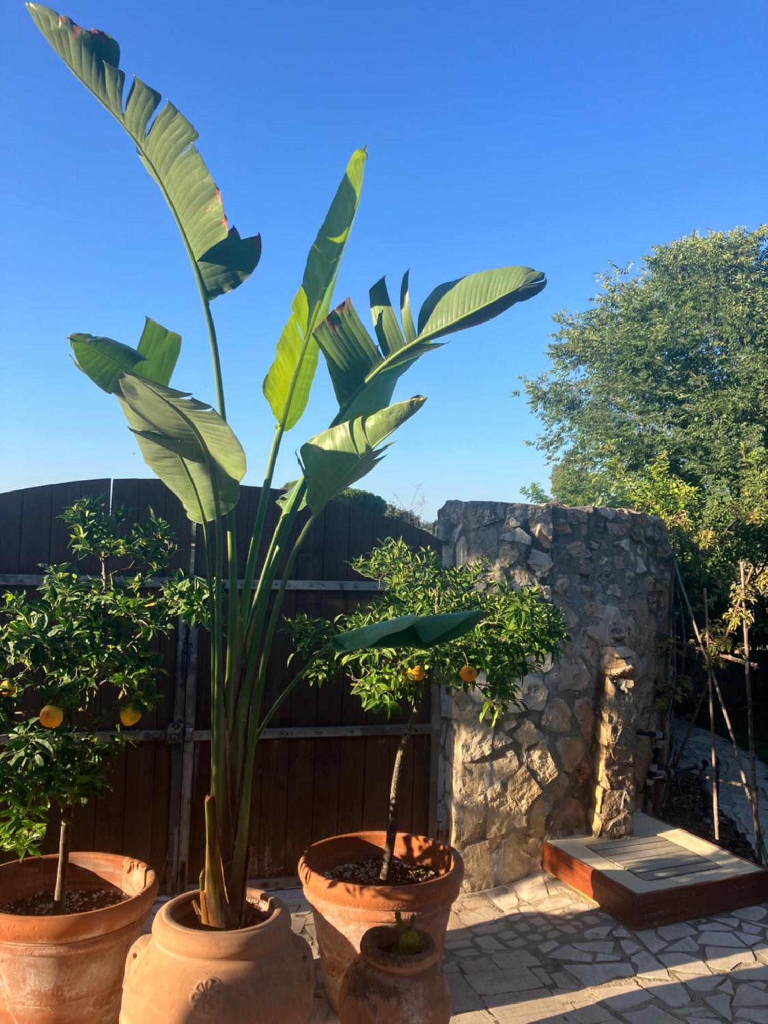 Masia Mariel Playa-Adults Only Orbetello Exterior foto