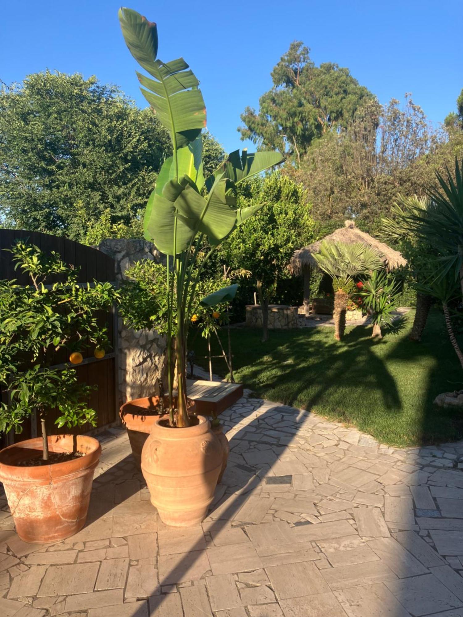Masia Mariel Playa-Adults Only Orbetello Exterior foto